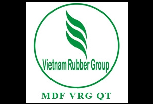Vietnam Rubber Group